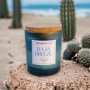 Baja Breeze