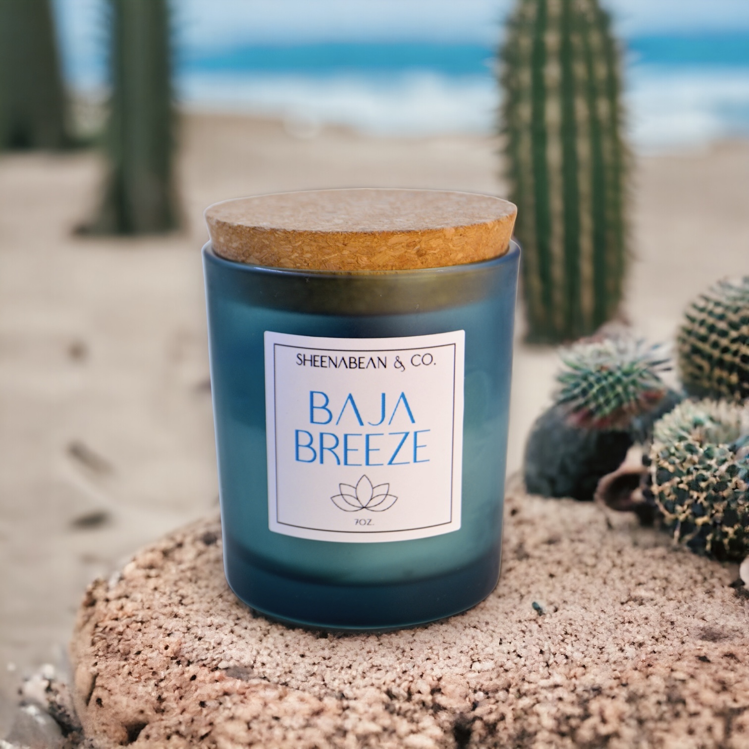 Baja Breeze